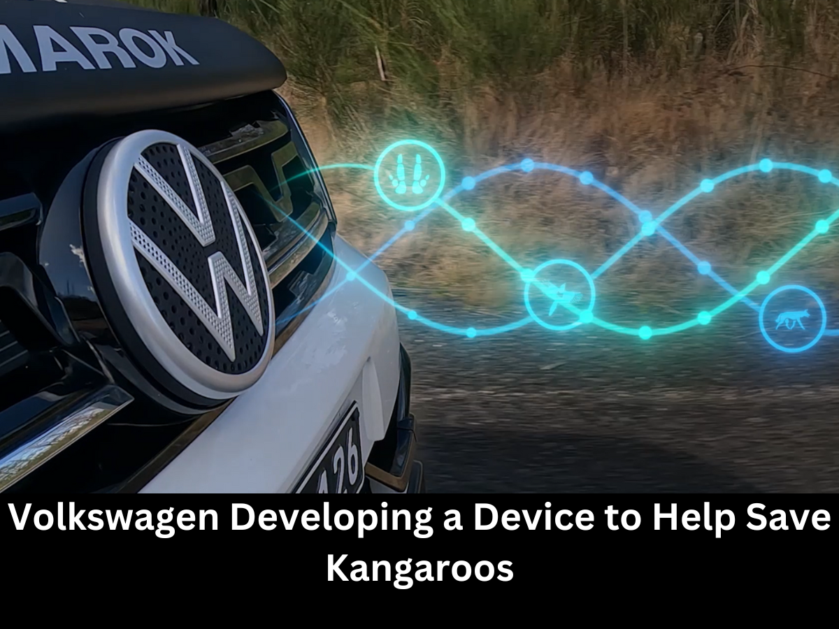 Volkswagen Developing a Device Save Kangaroos