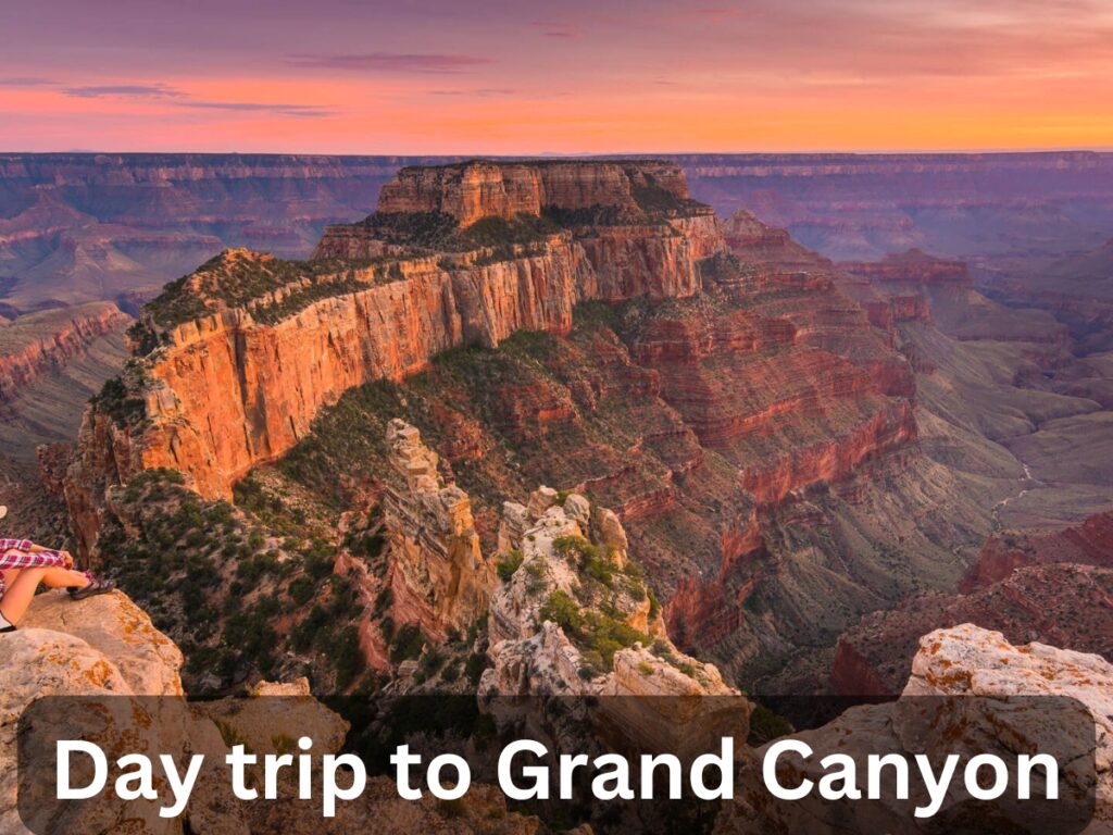 day trip to grand canyon