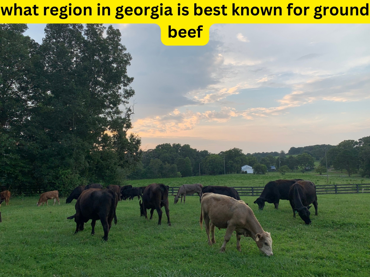 what region in georgia is best known for ground beef