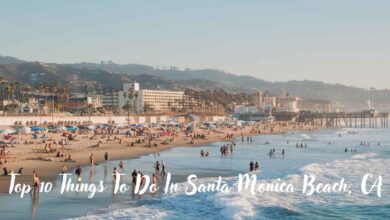 Top 10 Things To Do In Santa Monica Beach, CA