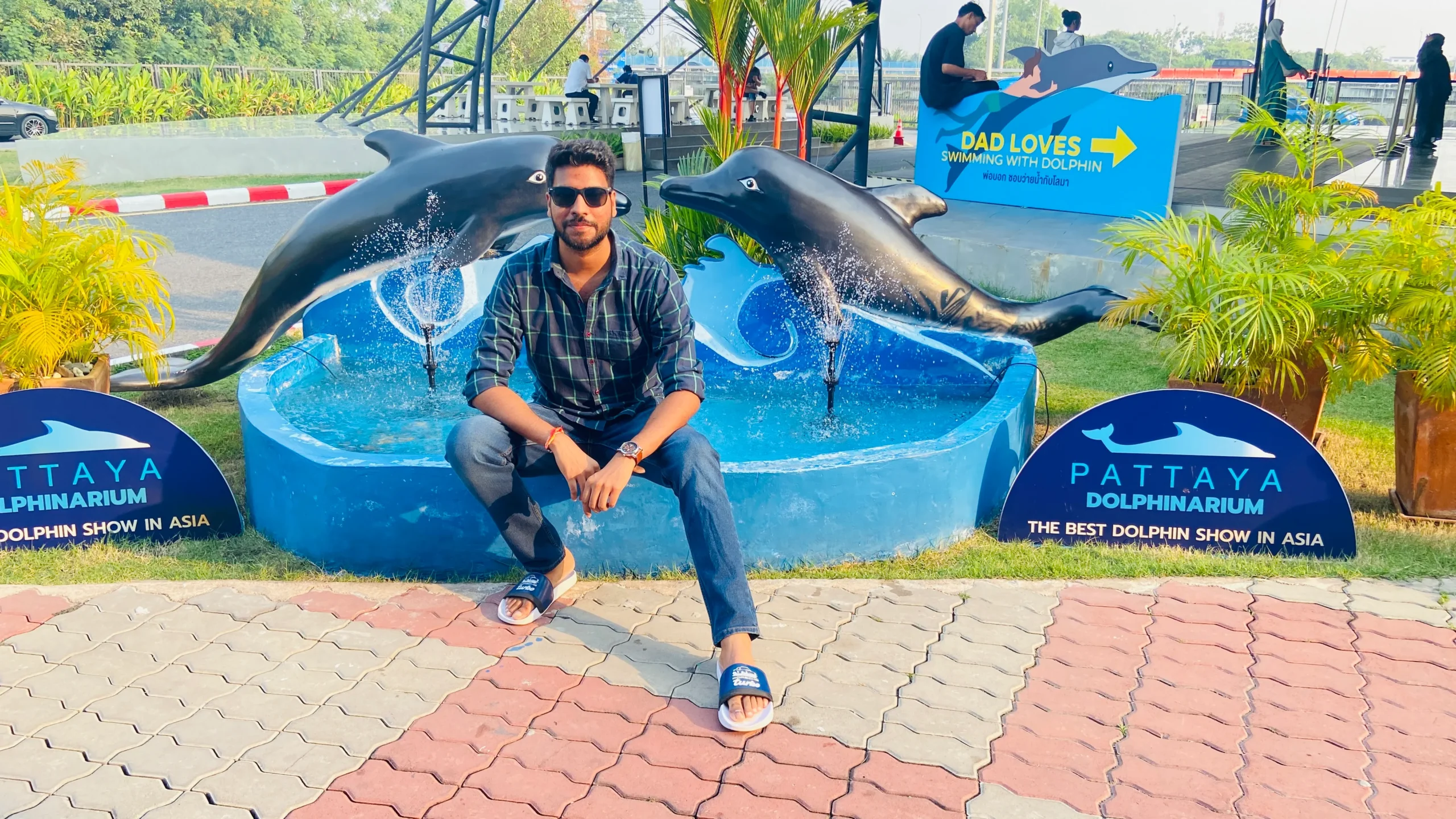 Explore Dolphinarium Pattaya And Experience The Magic of Swimming with Dolphins and Seals.
